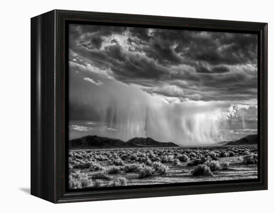 USA, California, Mojave National Preserve, Desert Rain Squall at Sunset-Ann Collins-Framed Premier Image Canvas