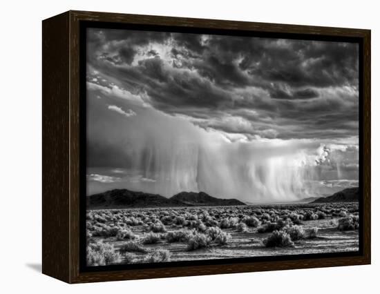 USA, California, Mojave National Preserve, Desert Rain Squall at Sunset-Ann Collins-Framed Premier Image Canvas