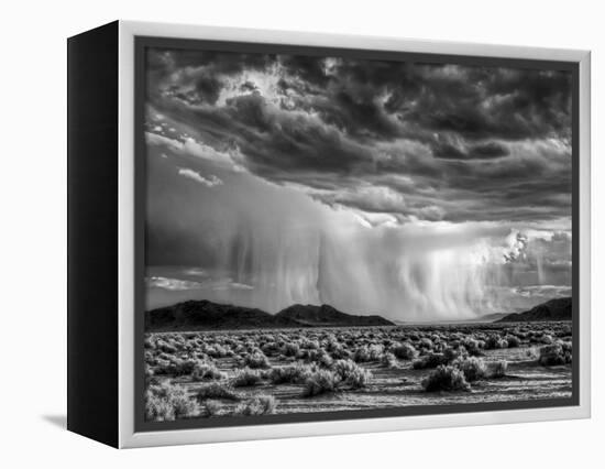 USA, California, Mojave National Preserve, Desert Rain Squall at Sunset-Ann Collins-Framed Premier Image Canvas
