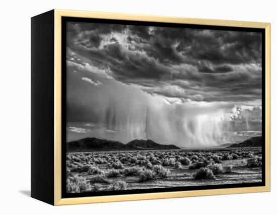 USA, California, Mojave National Preserve, Desert Rain Squall at Sunset-Ann Collins-Framed Premier Image Canvas