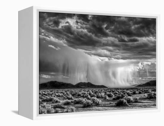 USA, California, Mojave National Preserve, Desert Rain Squall at Sunset-Ann Collins-Framed Premier Image Canvas