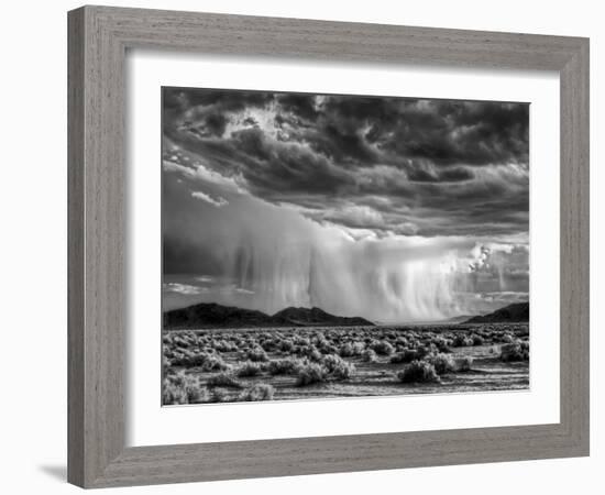 USA, California, Mojave National Preserve, Desert Rain Squall at Sunset-Ann Collins-Framed Photographic Print