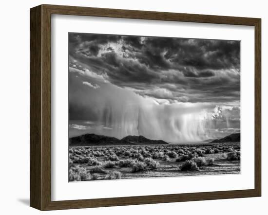 USA, California, Mojave National Preserve, Desert Rain Squall at Sunset-Ann Collins-Framed Photographic Print