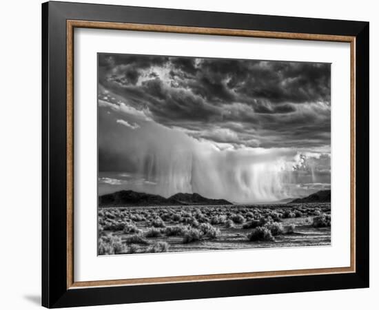 USA, California, Mojave National Preserve, Desert Rain Squall at Sunset-Ann Collins-Framed Photographic Print