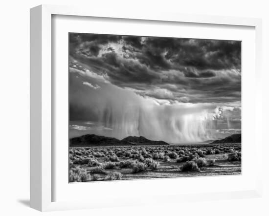 USA, California, Mojave National Preserve, Desert Rain Squall at Sunset-Ann Collins-Framed Photographic Print