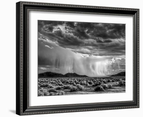 USA, California, Mojave National Preserve, Desert Rain Squall at Sunset-Ann Collins-Framed Photographic Print