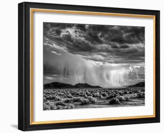 USA, California, Mojave National Preserve, Desert Rain Squall at Sunset-Ann Collins-Framed Photographic Print