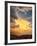 USA, California, Mojave National Preserve, Desert Rain Squall at Sunset-Ann Collins-Framed Photographic Print