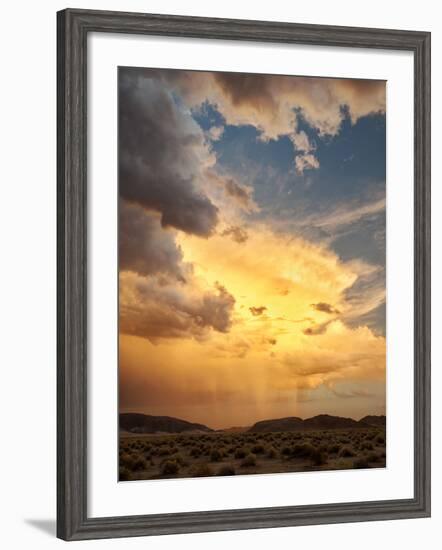 USA, California, Mojave National Preserve, Desert Rain Squall at Sunset-Ann Collins-Framed Photographic Print