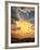 USA, California, Mojave National Preserve, Desert Rain Squall at Sunset-Ann Collins-Framed Photographic Print