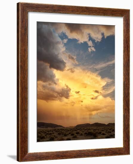 USA, California, Mojave National Preserve, Desert Rain Squall at Sunset-Ann Collins-Framed Photographic Print