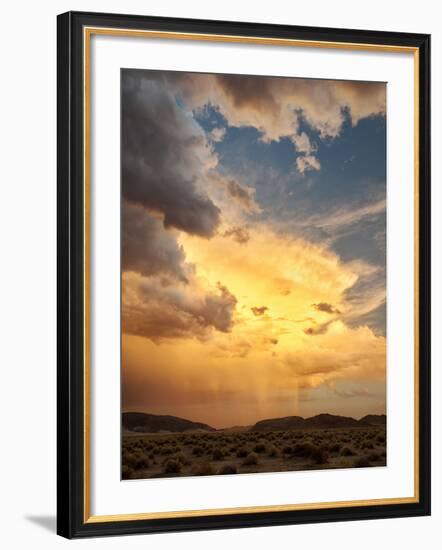 USA, California, Mojave National Preserve, Desert Rain Squall at Sunset-Ann Collins-Framed Photographic Print