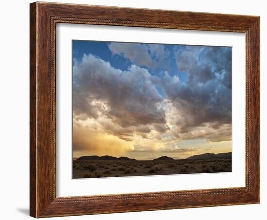 USA, California, Mojave National Preserve. Desert Rain Squall at Sunset-Ann Collins-Framed Photographic Print