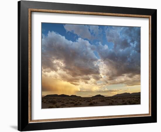 USA, California, Mojave National Preserve. Desert Rain Squall at Sunset-Ann Collins-Framed Photographic Print