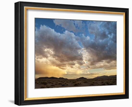 USA, California, Mojave National Preserve. Desert Rain Squall at Sunset-Ann Collins-Framed Photographic Print