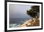 USA, California, Monterey. 17-Mile Drive Coast Near Ghost Tree-Kymri Wilt-Framed Photographic Print