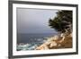 USA, California, Monterey. 17-Mile Drive Coast Near Ghost Tree-Kymri Wilt-Framed Photographic Print