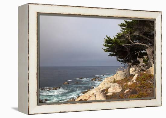 USA, California, Monterey. 17-Mile Drive Coast Near Ghost Tree-Kymri Wilt-Framed Premier Image Canvas