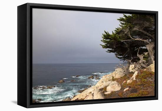 USA, California, Monterey. 17-Mile Drive Coast Near Ghost Tree-Kymri Wilt-Framed Premier Image Canvas