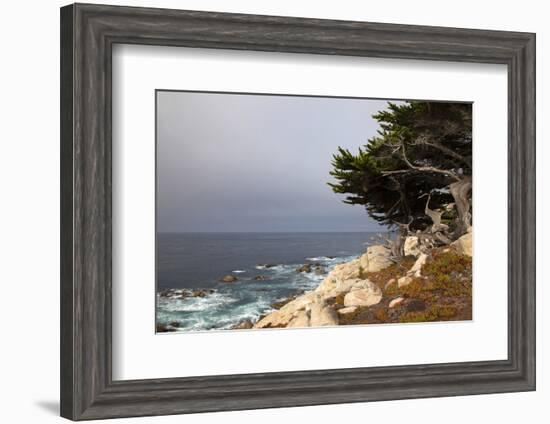 USA, California, Monterey. 17-Mile Drive Coast Near Ghost Tree-Kymri Wilt-Framed Photographic Print