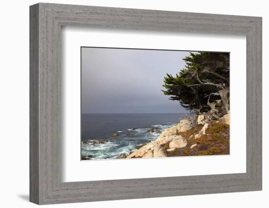 USA, California, Monterey. 17-Mile Drive Coast Near Ghost Tree-Kymri Wilt-Framed Photographic Print