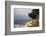 USA, California, Monterey. 17-Mile Drive Coast Near Ghost Tree-Kymri Wilt-Framed Photographic Print