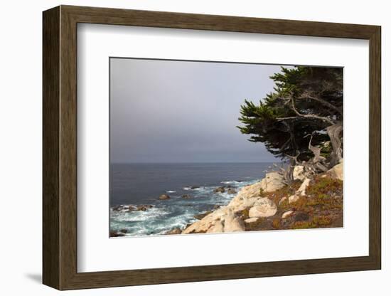 USA, California, Monterey. 17-Mile Drive Coast Near Ghost Tree-Kymri Wilt-Framed Photographic Print