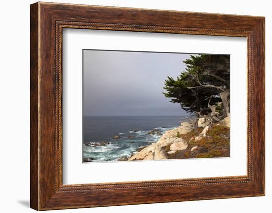 USA, California, Monterey. 17-Mile Drive Coast Near Ghost Tree-Kymri Wilt-Framed Photographic Print