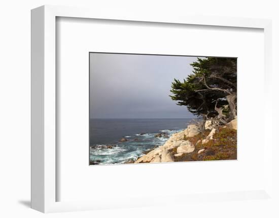 USA, California, Monterey. 17-Mile Drive Coast Near Ghost Tree-Kymri Wilt-Framed Photographic Print