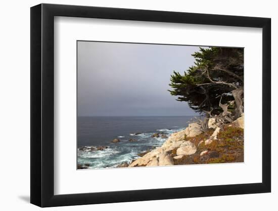 USA, California, Monterey. 17-Mile Drive Coast Near Ghost Tree-Kymri Wilt-Framed Photographic Print