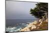 USA, California, Monterey. 17-Mile Drive Coast Near Ghost Tree-Kymri Wilt-Mounted Photographic Print