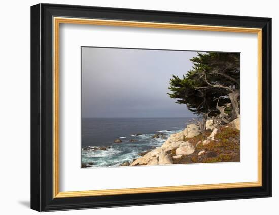 USA, California, Monterey. 17-Mile Drive Coast Near Ghost Tree-Kymri Wilt-Framed Photographic Print