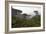 USA, California, Monterey. Monterey Cypress Trees Along 17-Mile Drive-Kymri Wilt-Framed Photographic Print