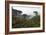 USA, California, Monterey. Monterey Cypress Trees Along 17-Mile Drive-Kymri Wilt-Framed Photographic Print