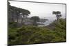 USA, California, Monterey. Monterey Cypress Trees Along 17-Mile Drive-Kymri Wilt-Mounted Photographic Print