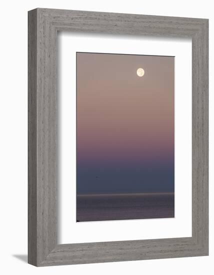 USA, California, Moonset over Pacific Ocean-John Ford-Framed Photographic Print