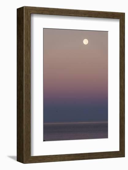 USA, California, Moonset over Pacific Ocean-John Ford-Framed Photographic Print