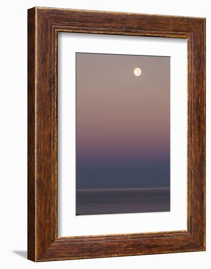 USA, California, Moonset over Pacific Ocean-John Ford-Framed Photographic Print