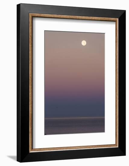 USA, California, Moonset over Pacific Ocean-John Ford-Framed Photographic Print