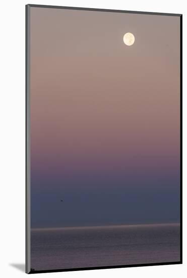 USA, California, Moonset over Pacific Ocean-John Ford-Mounted Photographic Print