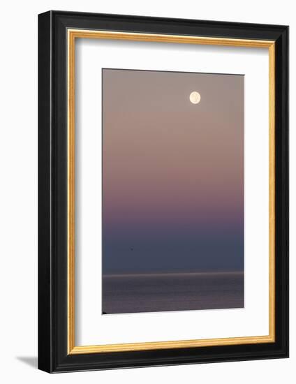 USA, California, Moonset over Pacific Ocean-John Ford-Framed Photographic Print