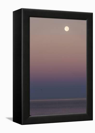 USA, California, Moonset over Pacific Ocean-John Ford-Framed Premier Image Canvas