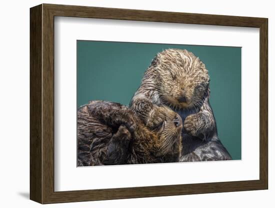 USA, California, Morro Bay State Park. Sea Otter mother with pup.-Jaynes Gallery-Framed Photographic Print