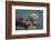 USA, California, Morro Bay State Park. Sea Otter mother with pup.-Jaynes Gallery-Framed Photographic Print