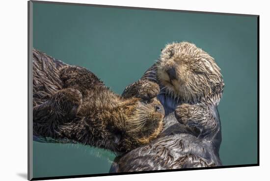 USA, California, Morro Bay State Park. Sea Otter mother with pup.-Jaynes Gallery-Mounted Photographic Print