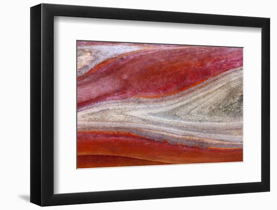 USA, California, Mount Diablo State Park. Manzanita Wood Detail-Don Paulson-Framed Photographic Print