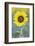 USA, California, Napa Valley of sunflower.-Jaynes Gallery-Framed Photographic Print