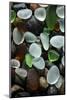 USA, California. Natural sea glass on beach.-Jaynes Gallery-Mounted Photographic Print