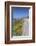 USA, California, Near Big Sur, California Poppies, Along Highway 1-Rob Tilley-Framed Photographic Print