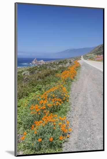 USA, California, Near Big Sur, California Poppies, Along Highway 1-Rob Tilley-Mounted Photographic Print